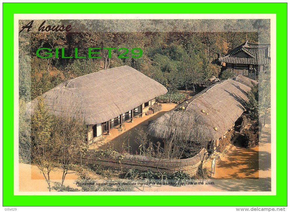 CORÉE DU SUD, SOUTH KOREA - SQUASH GOURDS DECORATE THE ROOF OF THIS MIDDLE-CLASS FARM IN THE SOUTH - 12 X 17 Cm - - Corée Du Sud