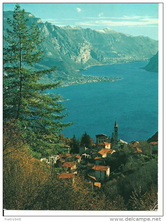 Civenna Fraz. Di Bellagio (Como) Panorama, Veduta Del Ramo Di Lecco, View Of The Lecco's Arm - Como