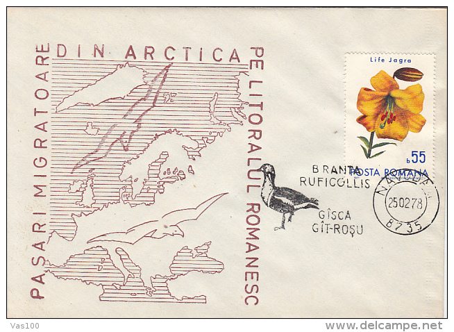 ARCTIC WILDLIFE, RED BREASTED GOOSE, SPECIAL COVER, 1978, ROMANIA - Faune Arctique