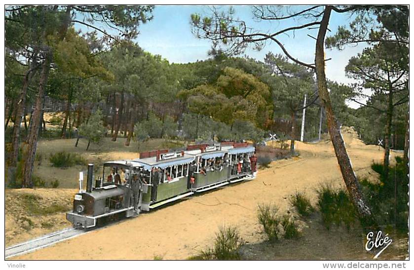 WA-15 - 052 :  BASSIN D ARCACHON LE PETIT TRAIN FORESTIER CAP FERRET - Other & Unclassified