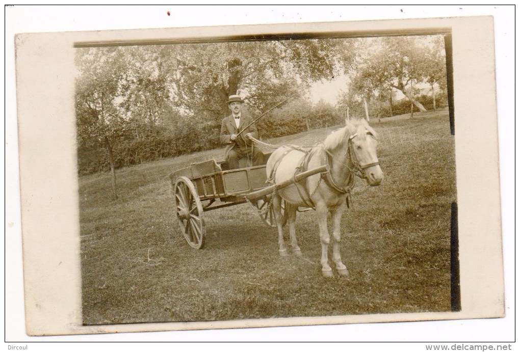 32374  -     Blegny      Av De L'égalité  -    Attelage  Dans Prairie   Garsous  Armand - Blegny