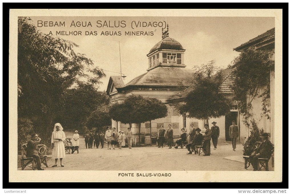CHAVES - VIDAGO -CHAFARIZES E FONTES- Fonte Salus Vidago ( Ed. C.ª Portuguesa Das Águas) Carte Postale - Vila Real