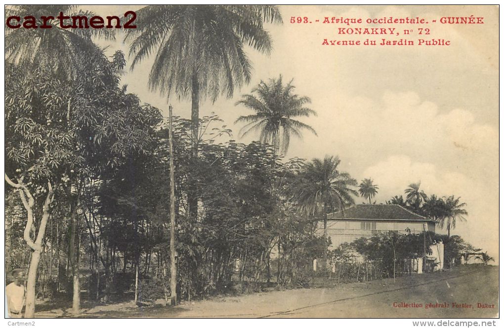 GUINEE KONAKRY AVENUE DU JARDIN PUBLIC AFRIQUE FORTIER - Guinée