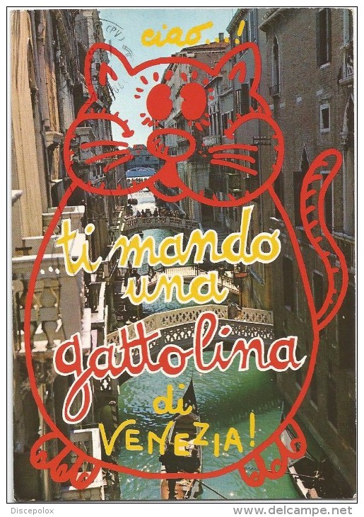 O15 Venezia - Rio Della Canonica - Humor - Ti Mando Una Gattolina / Viaggiata 1995 - Venezia