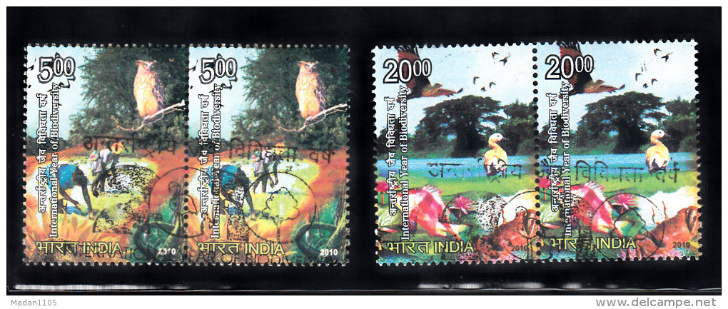 INDIA, 2010, FINE USED, PAIR 1st Day Cancelled, International Year Of Biodiversity, Nature, Bird, Owl,Fauna, - Gebruikt