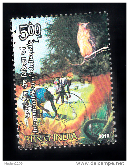INDIA, 2010, FINE USED, First Day Cancelled, International Year Of Biodiversity, 1 V, Nature, Bird, Owl, - Oblitérés