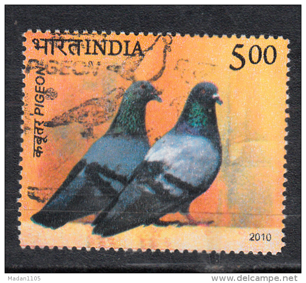 INDIA, 2010, FINE USED, First Day Cancelled, Birds Of India,  Pigeons, , 1 V - Oblitérés