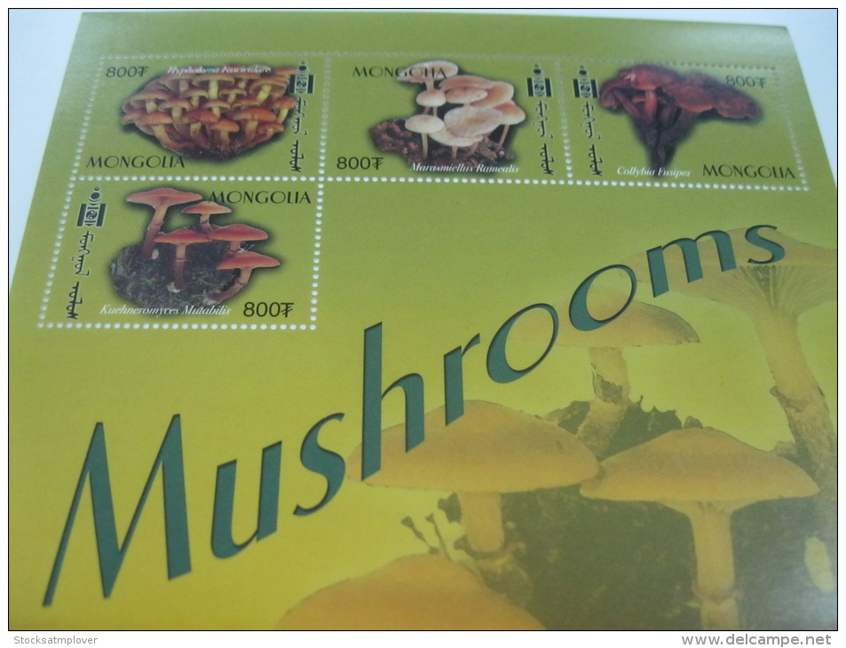 Mongolia-Mushrooms - Champignons