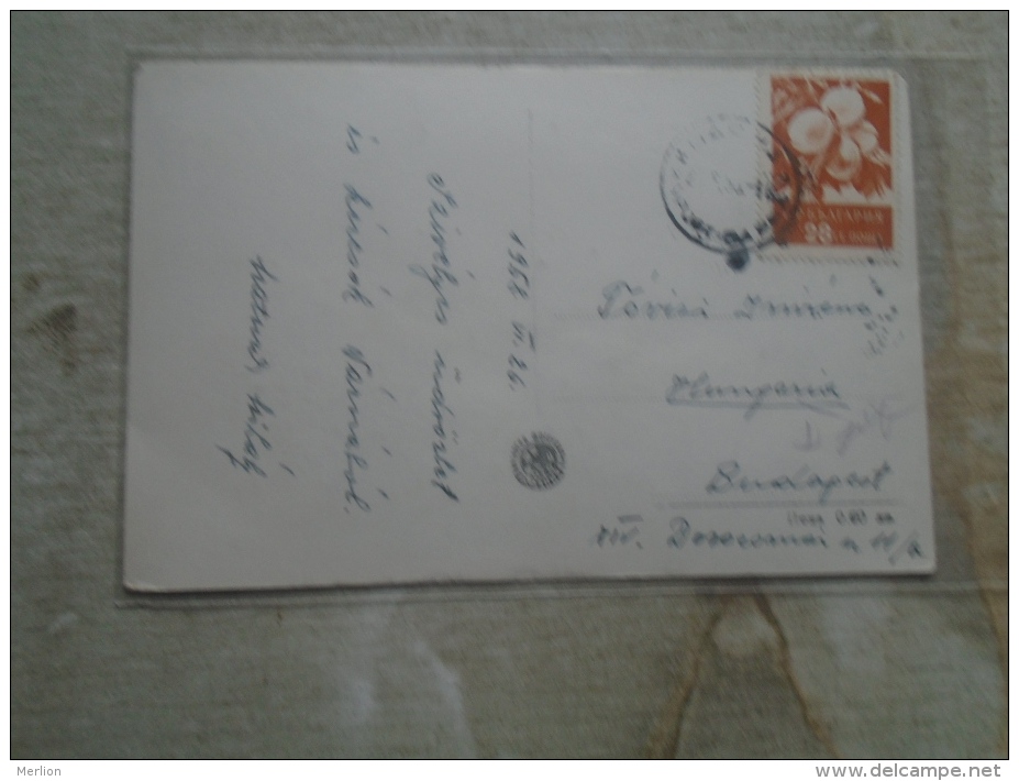 Wretsling - VARNA  - BULGARIA   - Matura Mihály   Trainer  Hungary Written And   Signed   1960  D133604 - Lutte