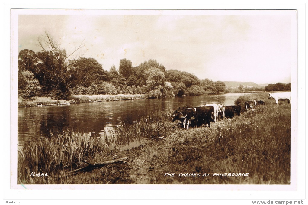 RB 1070 - Real Photo Postcard - River Thames At Pangbourne Near Reading Berkshire - Reading