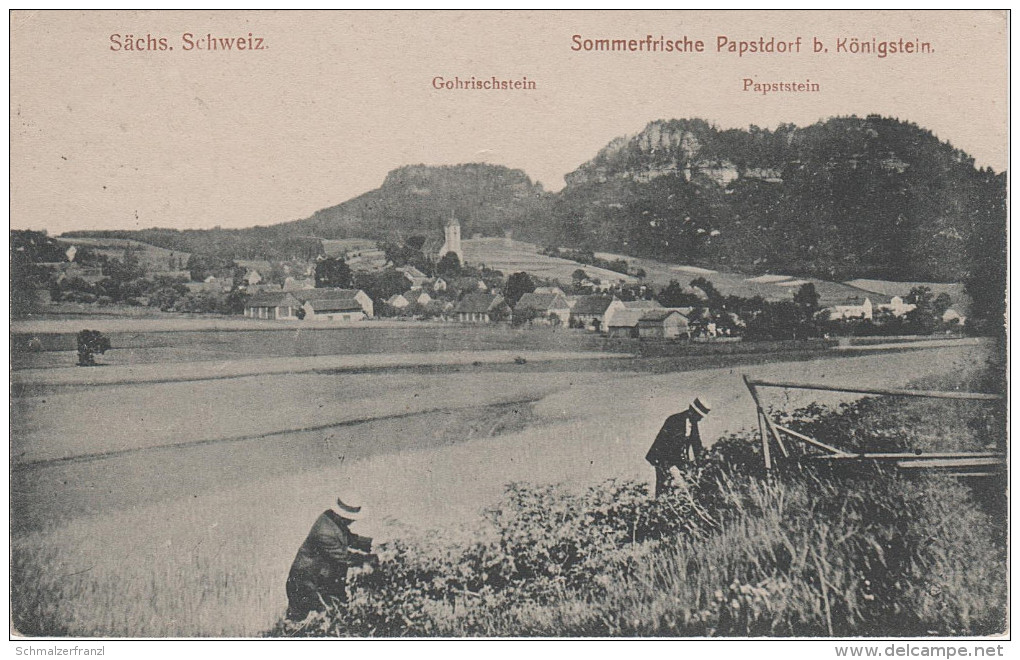 AK Sächsische Schweiz Papstdorf Ernte Papststein Gohrischstein Bei Königstein Gohrisch Cunnersdorf Schandau Krippen - Kleinhennersdorf