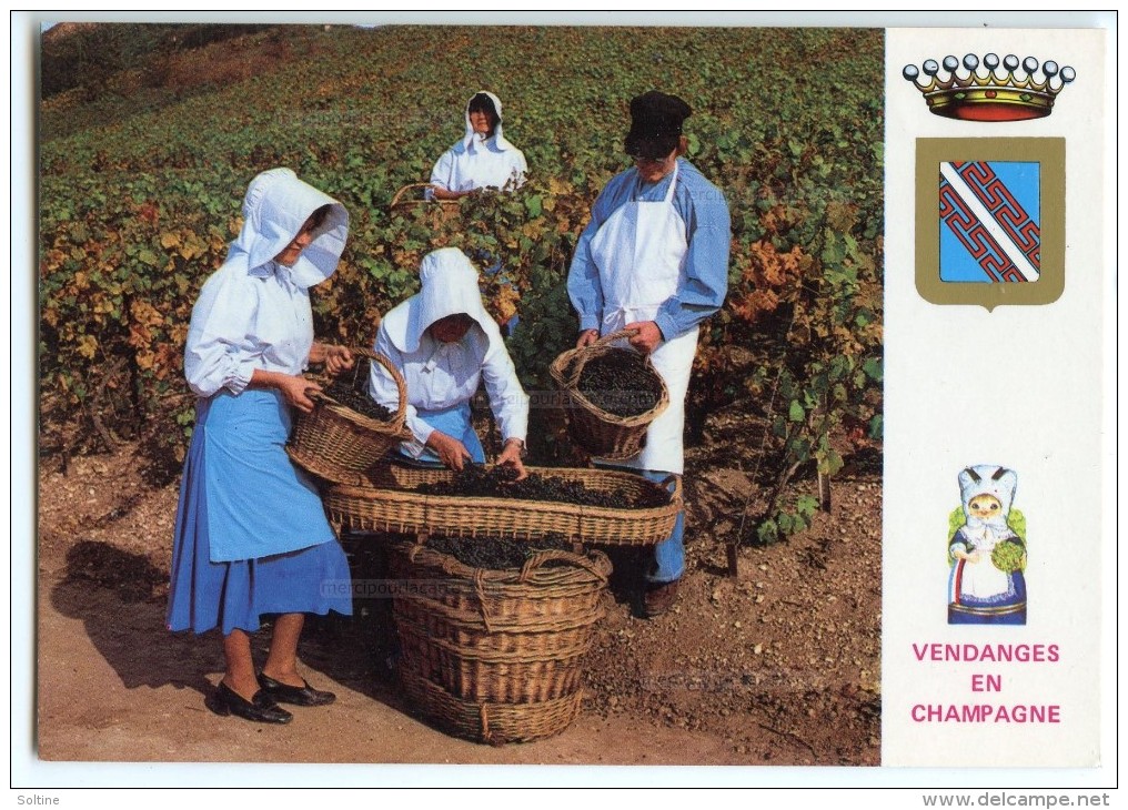 Vendanges En Champagne En Costume Champenois - écrite Et Timbrée Pour Jeu-concours 2 Scans - Reims