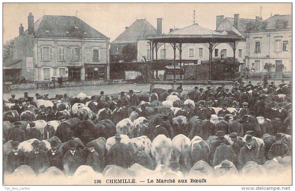 49 - Chemillé - Le Marché Aux Boeufs - Chemille