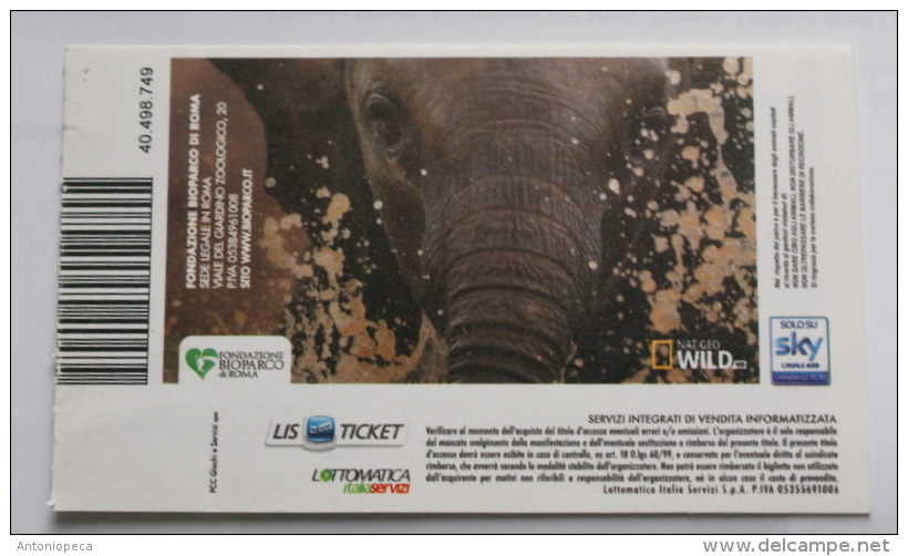 ITALIA 2013 - TICKET OF ENTRANCE ZOO OF ROME, USED - Tickets - Entradas