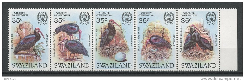 SWAZILAND 1984 N° 447/451 ** Neufs = MNH  Superbes Cote 25 &euro; Faune Oiseaux Ibis Chauve Birds Fauna Animaux - Swaziland (1968-...)