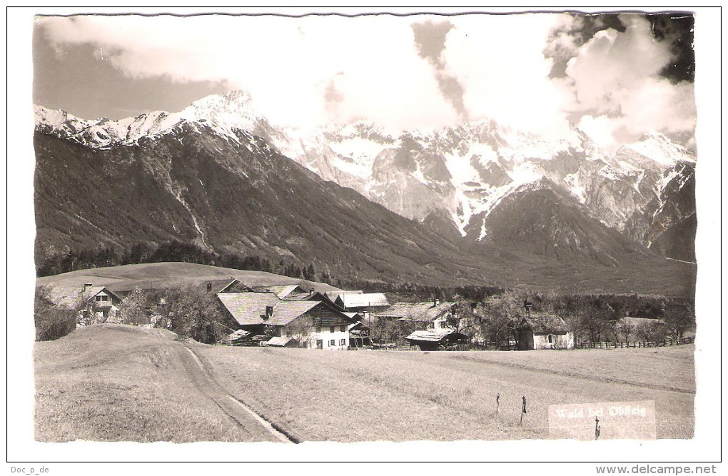 Österreich - Wald Bei Obsteig - Tirol - Sonstige & Ohne Zuordnung