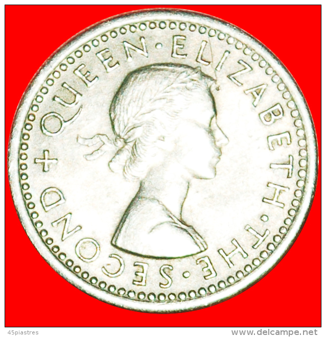 + DRESSED QUEEN (1955-1965): NEW ZEALAND★ 3 PENCE 1956! LOW START &#9733; NO RESERVE! - Nueva Zelanda