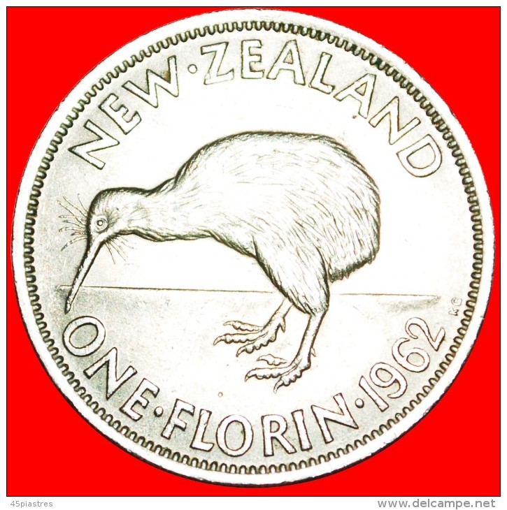 + KIWI BIRD: NEW ZEALAND ★ FLORIN 1962! DRESSED QUEEN! LOW START ★ NO RESERVE! - Neuseeland