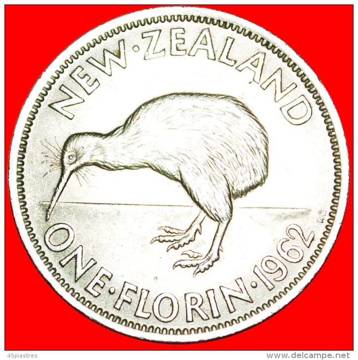 + KIWI BIRD: NEW ZEALAND ★ FLORIN 1962! DRESSED QUEEN! LOW START ★ NO RESERVE! - Nuova Zelanda