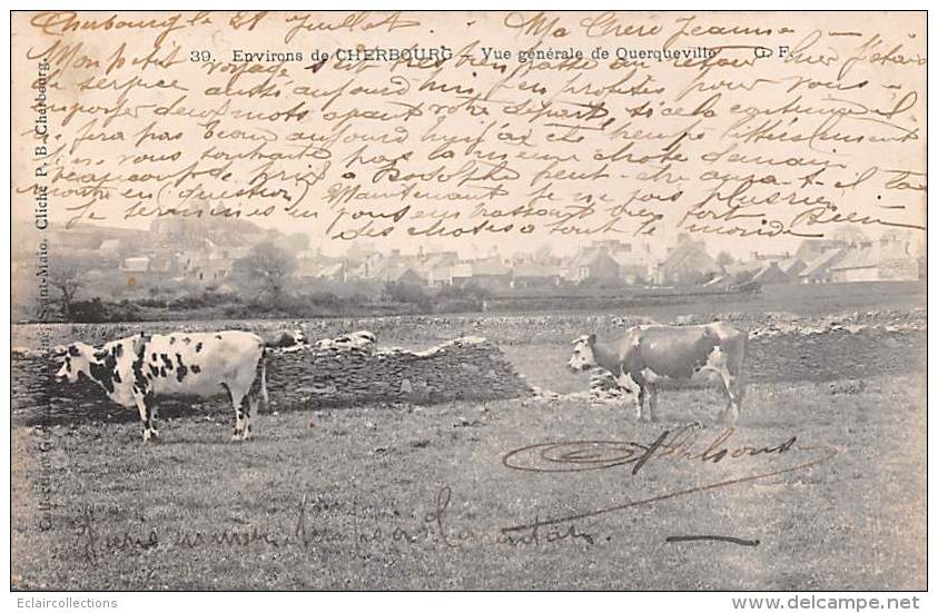 Querqueville     50       Vue Générale - Vaches Au Pâturage - Sonstige & Ohne Zuordnung