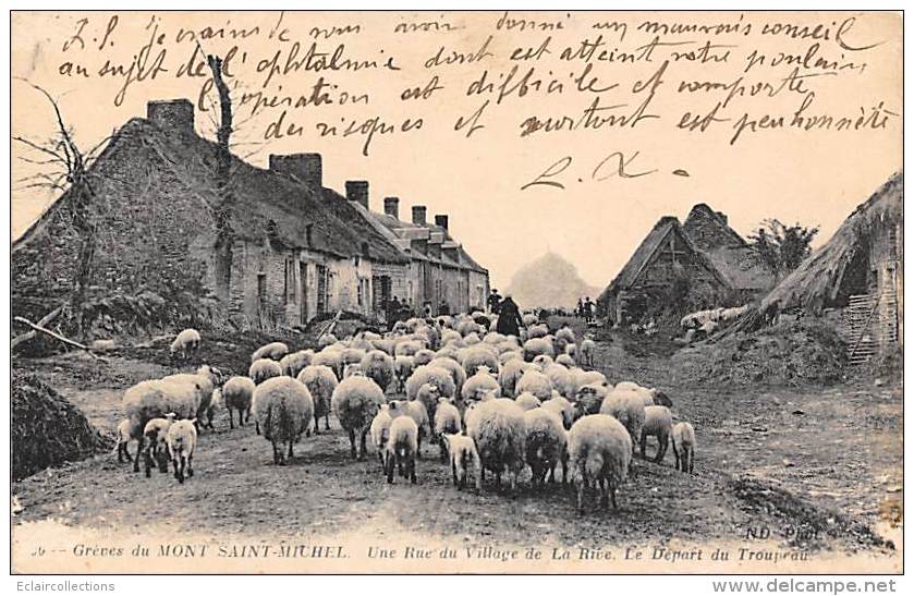 Mont Saint Michel   . La Rive     50     Une Rue Du Village De La Rive.Troupeau De Moutons - Le Mont Saint Michel