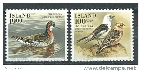 151 ISLANDE 1989 - Oiseaux (Yvert 650/51) Neuf ** (MNH) Sans Trace De Charniere - Nuevos