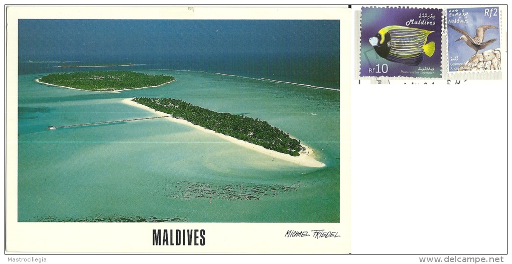 MALDIVES  Holiday Island Dhiffushi   Nice Stamps  Fish And Bird Theme - Maldive