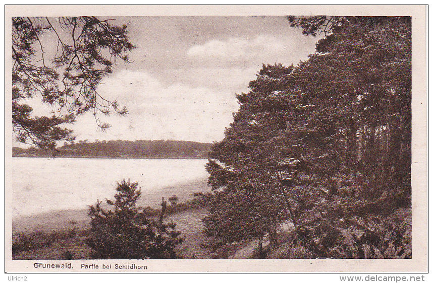 AK Berlin - Grunewald - Partie Am Schildhorn (20145) - Grunewald