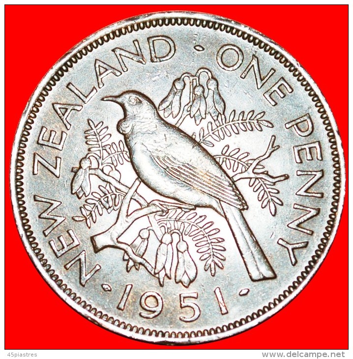 + BIRD AND FLOWERS: NEW ZEALAND ★ PENNY 1951! LOW START ★ NO RESERVE! George VI (1937-1952) - Neuseeland