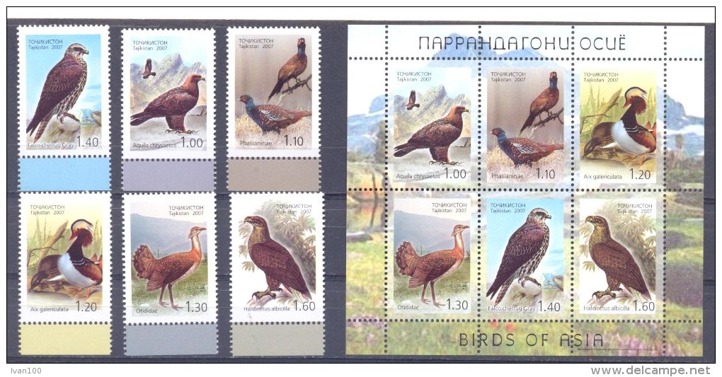 2007. Tajikistan, Birds, Of Asia, 6v + S/s, Mint/** - Tajikistan
