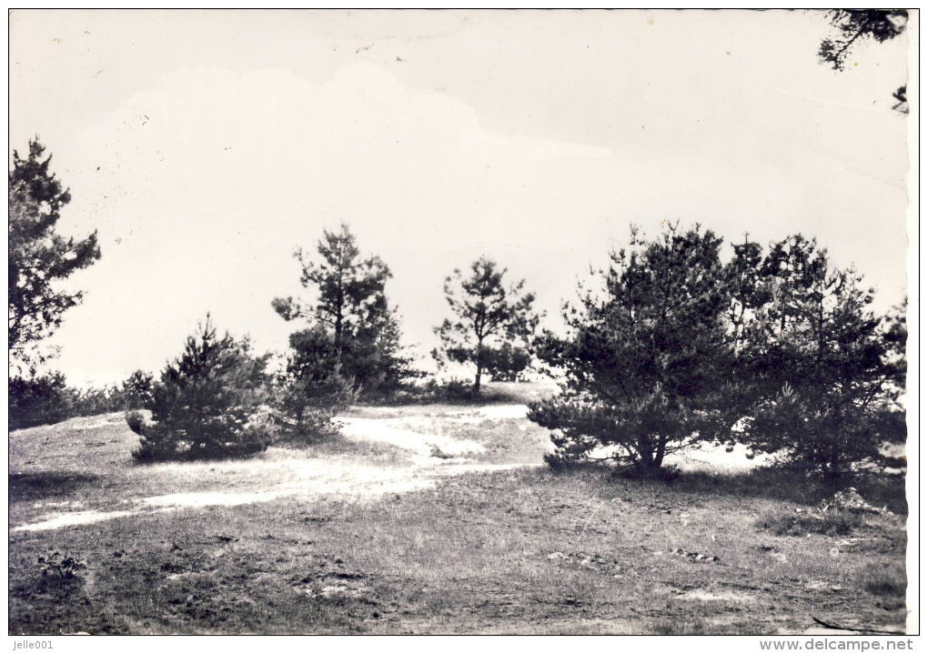 Hulsen Balen Wandelpaden 2 - Balen