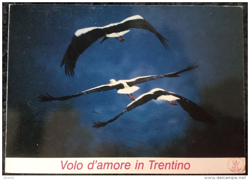 Volo D'amore In Trentino, Viaggiata 25/6/92 Francobolli Rari - Sonstige & Ohne Zuordnung