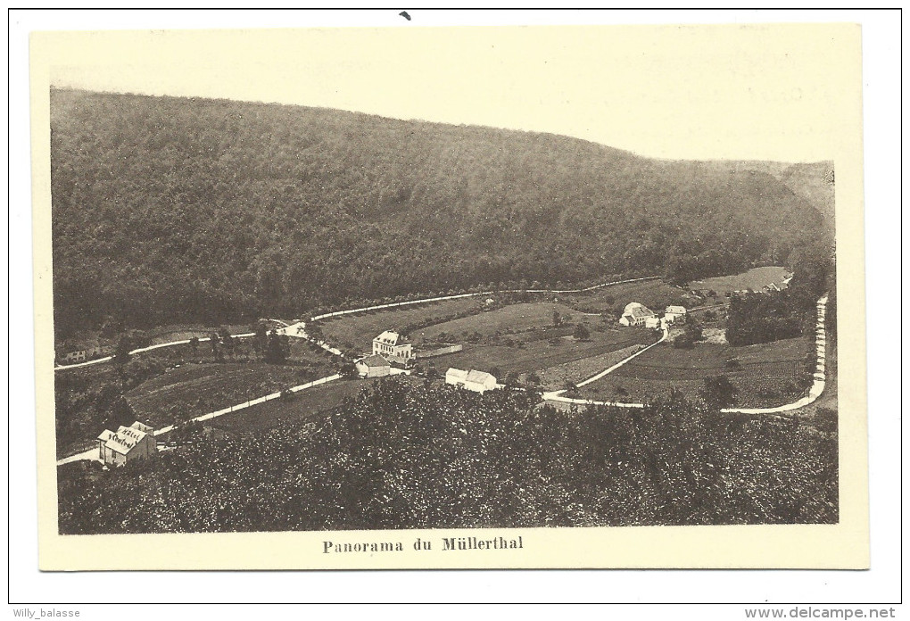 CPA - Luxembourg - Panorama Du MULLERTHAL - MUELLERTHAL  // - Muellerthal
