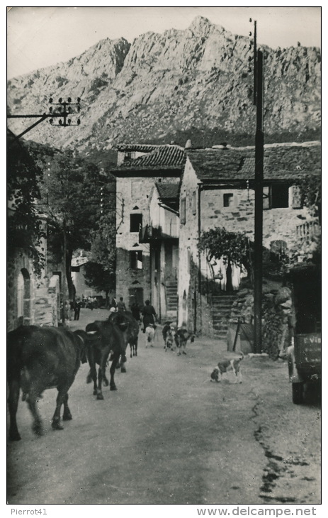 VIALAS - Entrée Du Village - Route Du Pont De Montvert (1954) - Autres & Non Classés