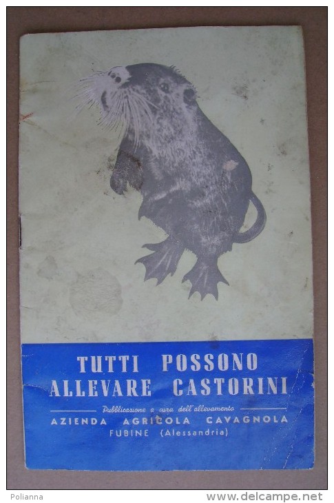 PCU/45 ALLEVARE CASTORINI Azienda Agricola Cavagnola - Fubine Anni ´50 - Animales De Compañía