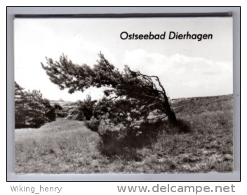 Dierhagen - S/w Leporello + 7 Kleinbildfotos - Fischland/Darss