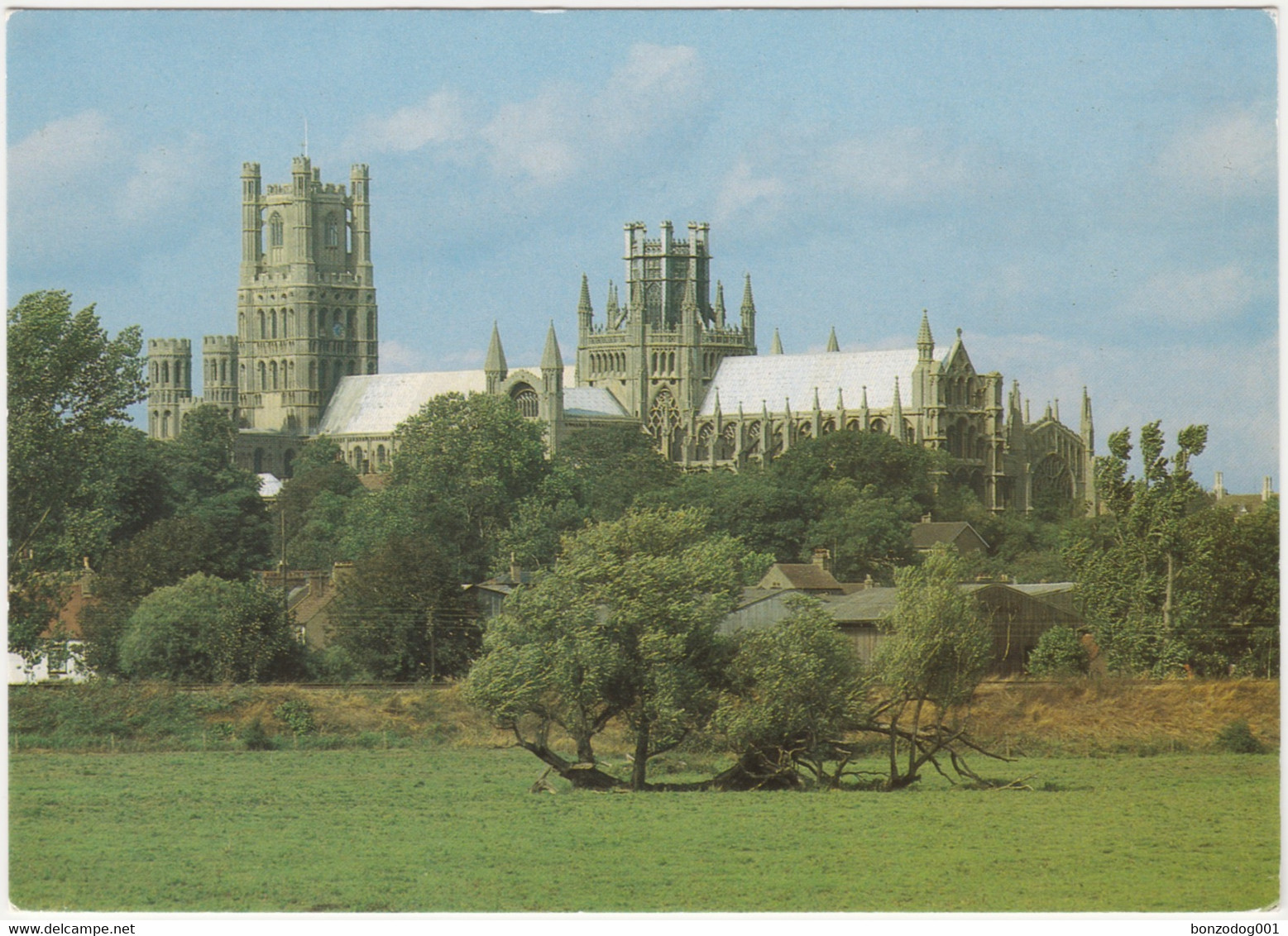 Ely Cathedral From The South East, Cambridgeshire. Unposted - Ely