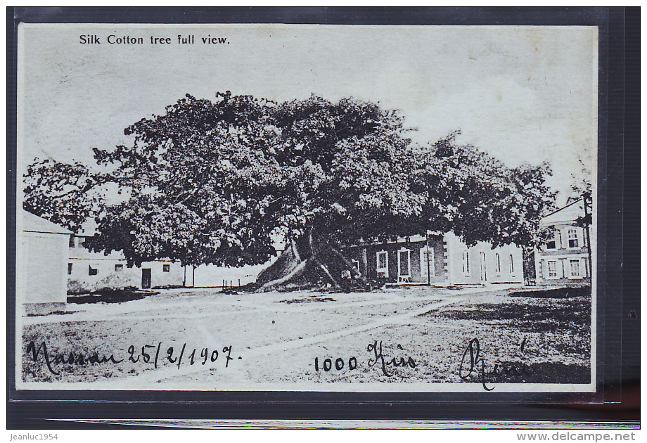 BAHAMAS COTON 1907 - Bahamas