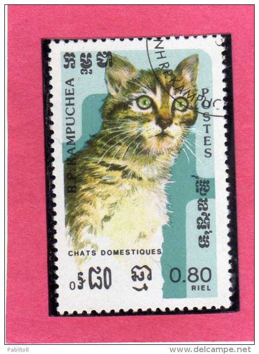 CAMBODIA KAMPUCHEA CAMBOGIA 1985 FAUNA CATS ANIMAL CAT ANIMAL ANIMALI GATTI ANIMALE GATTO USATO USED - Kampuchea