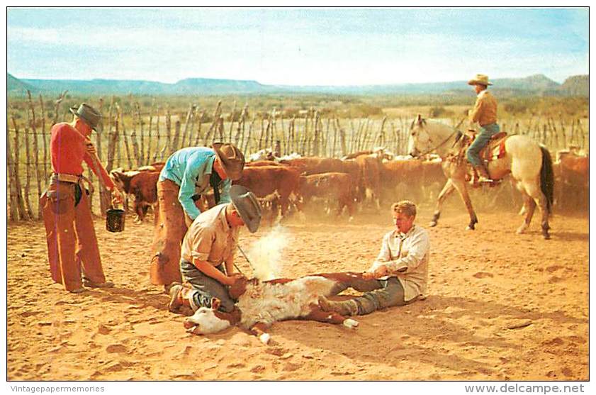 185917-Texas, Western Scene, Cowboys Branding Cattle, Dexter Press No 60661 - Autres & Non Classés