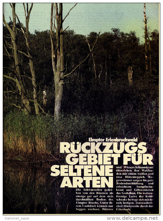 HB Bild-Atlas Bildband Naturmagazin Draußen  / Maas-Schwalm-Nette : Deutsch-niederländischer Naturpark - Viaggi & Divertimenti