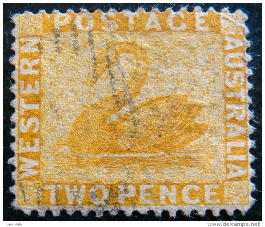 WESTERN AUSTRALIA 1882 2d Swan USED Scott50 CV$3 WATERMARK : CROWN & CA - Usados