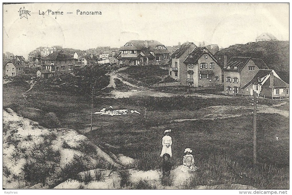LA PANNE : Panorama - Cachet De La Poste 1920 - De Panne