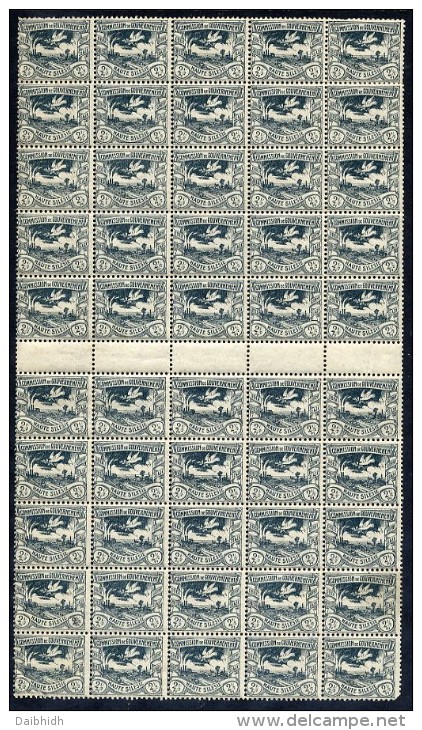 UPPER SILESIA 1920 Definitive 2½ Pfg. In Block Of 50 With 5 Gutter Pairs MNH / **.  Michel 13c - Sonstige & Ohne Zuordnung