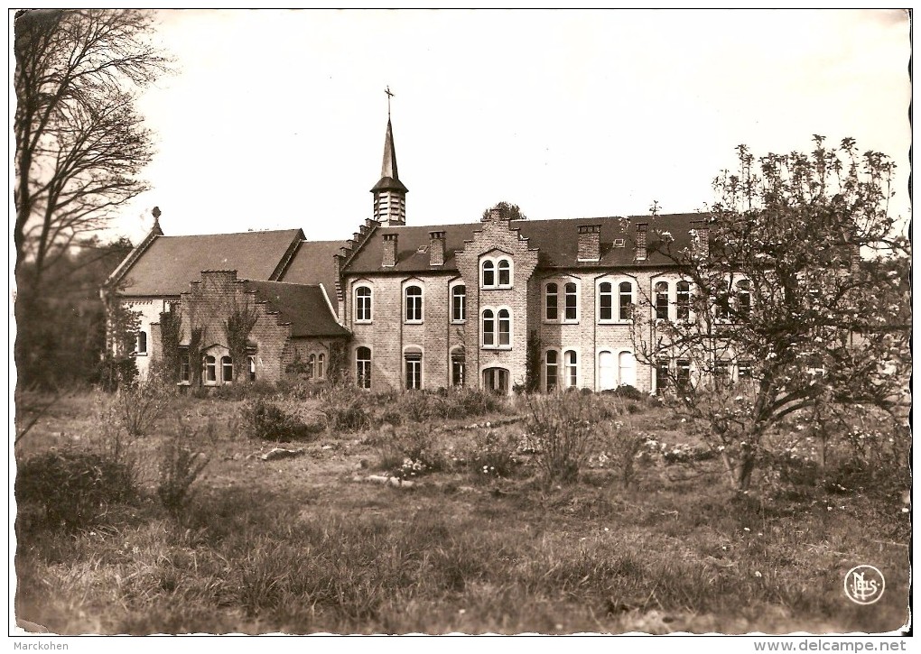 CINEY (5590) : Côté Jardin Du Centre De Retraites Ste-Thérèse, 124 Avenue Schlögel. CPSM. - Ciney