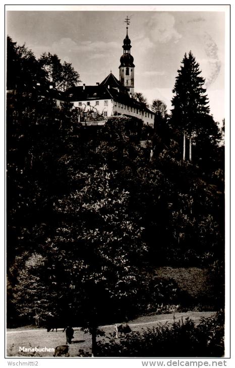 Fotokarte Fotokarte Mariabuchen über LOHR A, Main Mit Landpoststempel MARIABUCHEN 1956 - Lohr