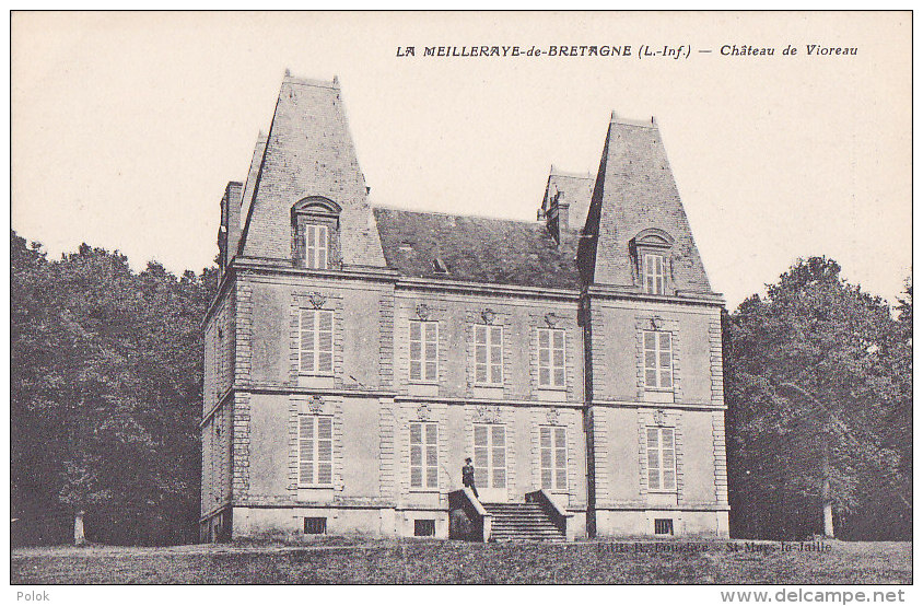 Au - Cpa LA MEILLERAYE De BRETAGNE (44) - Château De Vioreau - Autres & Non Classés