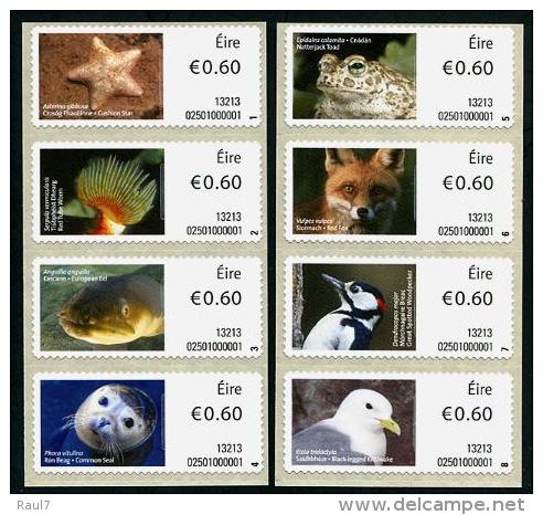 IRLANDE 2013 - Faune Marine, Renard, Crapaud, Oiseaux - 8 Val Neuf // Mnh - Neufs