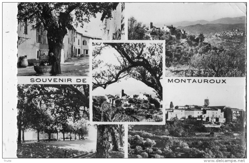 MONTAUROUX MULTIVUES - Montauroux