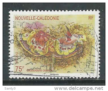 Nouvelle-Calédonie, Yv 1148 Année 2012, Oblitéré, Voir Scan - Used Stamps